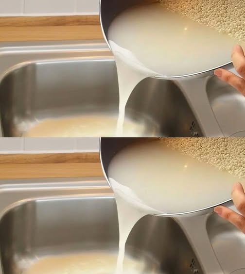 Don’t Pour Rice Cooking Water Down the Sink: Why You’re Doing It Wrong