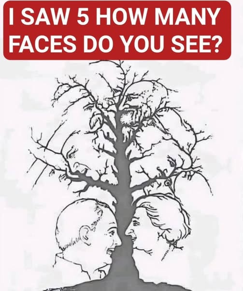 How Many Faces Can You Find