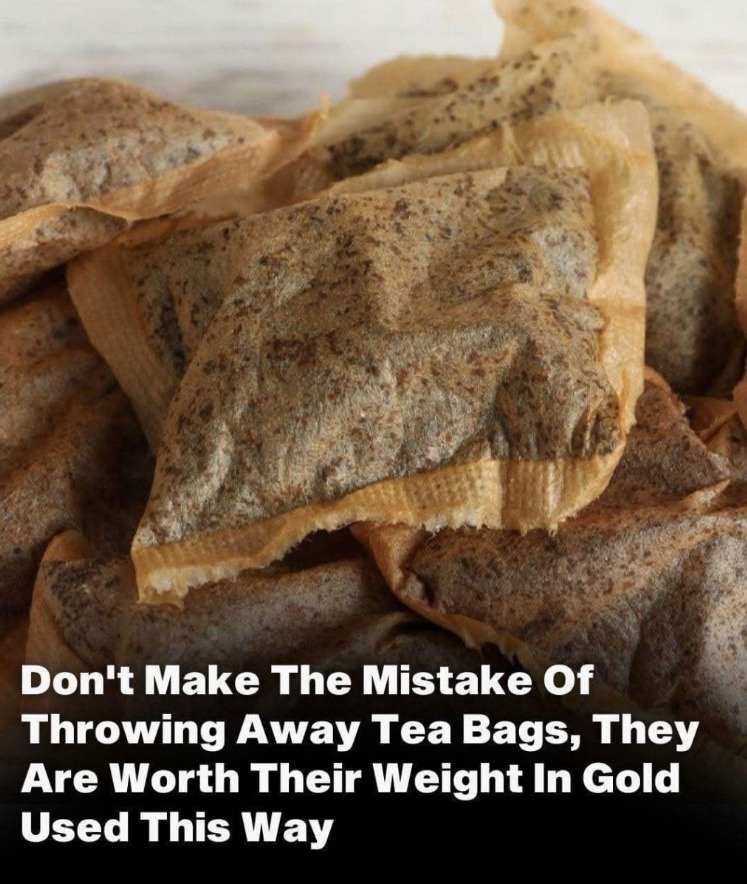 Don’t Toss Those Used Tea Bags – Here’s Why They’re Worth Their Weight in Gold!