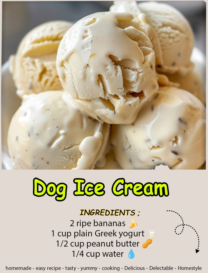 Dog Ice Cream